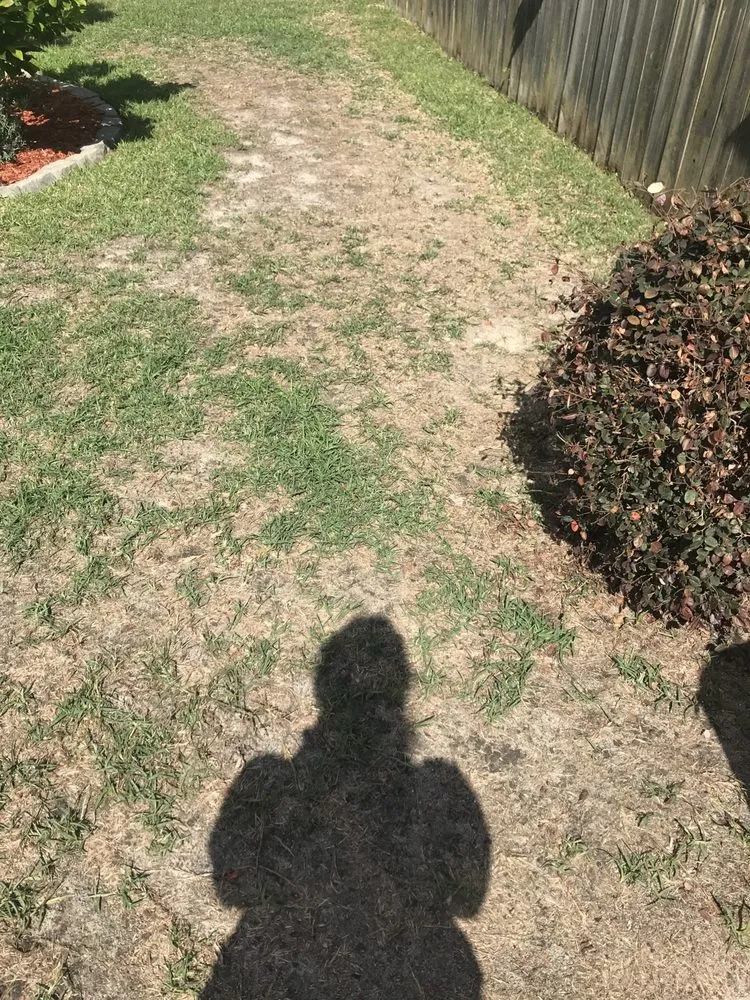 Expert yard maintenance experts serving Columbia, SC - TruGreen