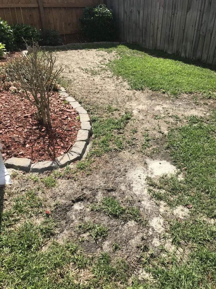 Trusted lawn mowing service experts serving Columbia, SC - TruGreen