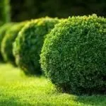 Custom yard maintenance for year-round maintenance across Purvis, MS - TruGreen Hattiesburg