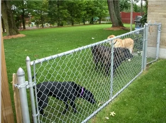 Reliable lawn mowing service experts serving Kansas City, MO - TruGreen