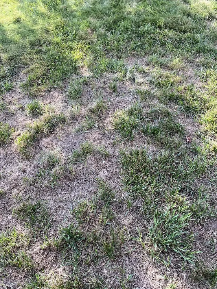 Trusted lawn care service with custom design in Fredericksburg, VA by Trugreen Lawn Care & Landscaping