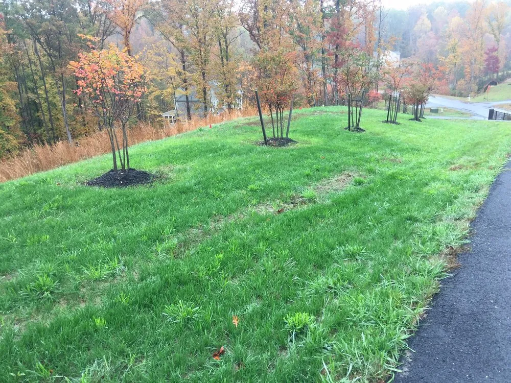 Custom landscape design in Fredericksburg, VA by Trugreen Lawn Care & Landscaping