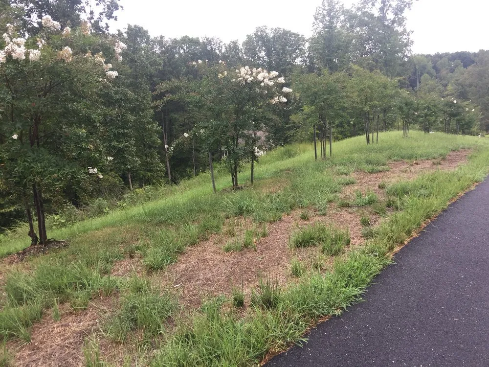 Expert lawn care service near you across Fredericksburg, VA - Trugreen Lawn Care & Landscaping