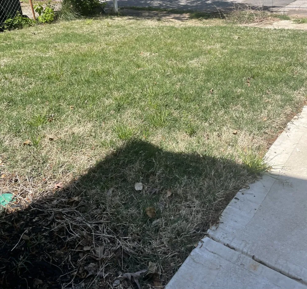 Local landscape design near you across Acworth, GA - TruGreen Lawn Care