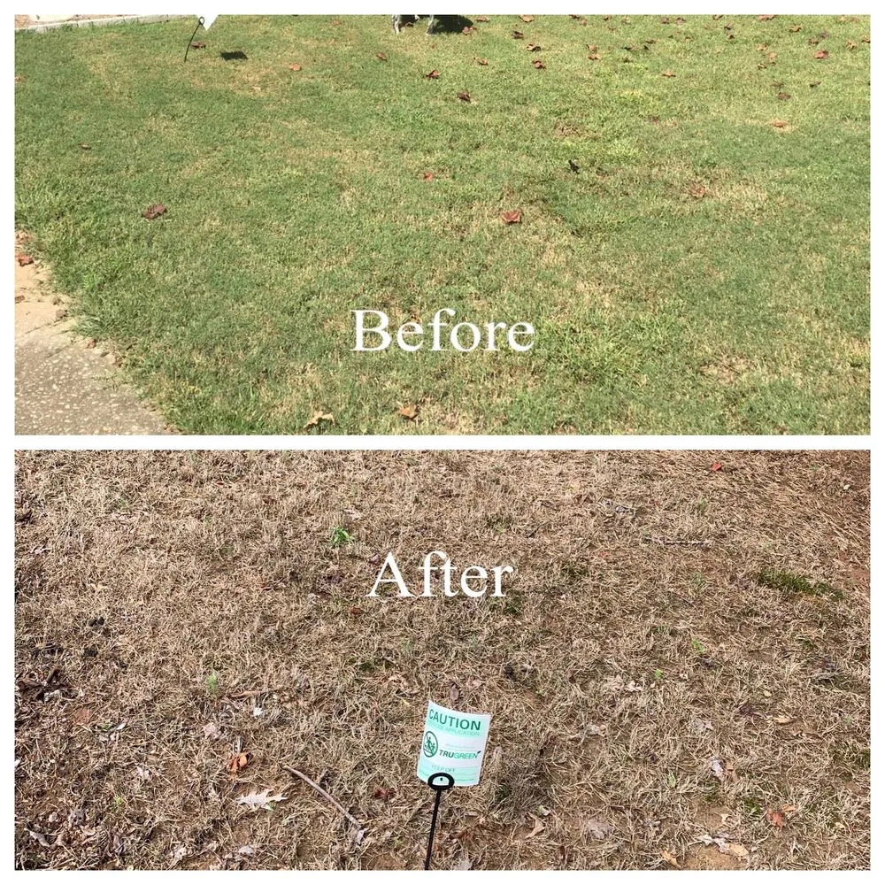 Trusted landscape design in Acworth, GA - TruGreen Lawn Care