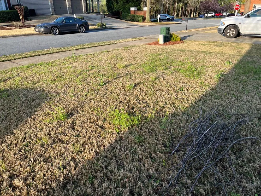 Trusted landscape installation experts serving Acworth, GA - TruGreen Lawn Care