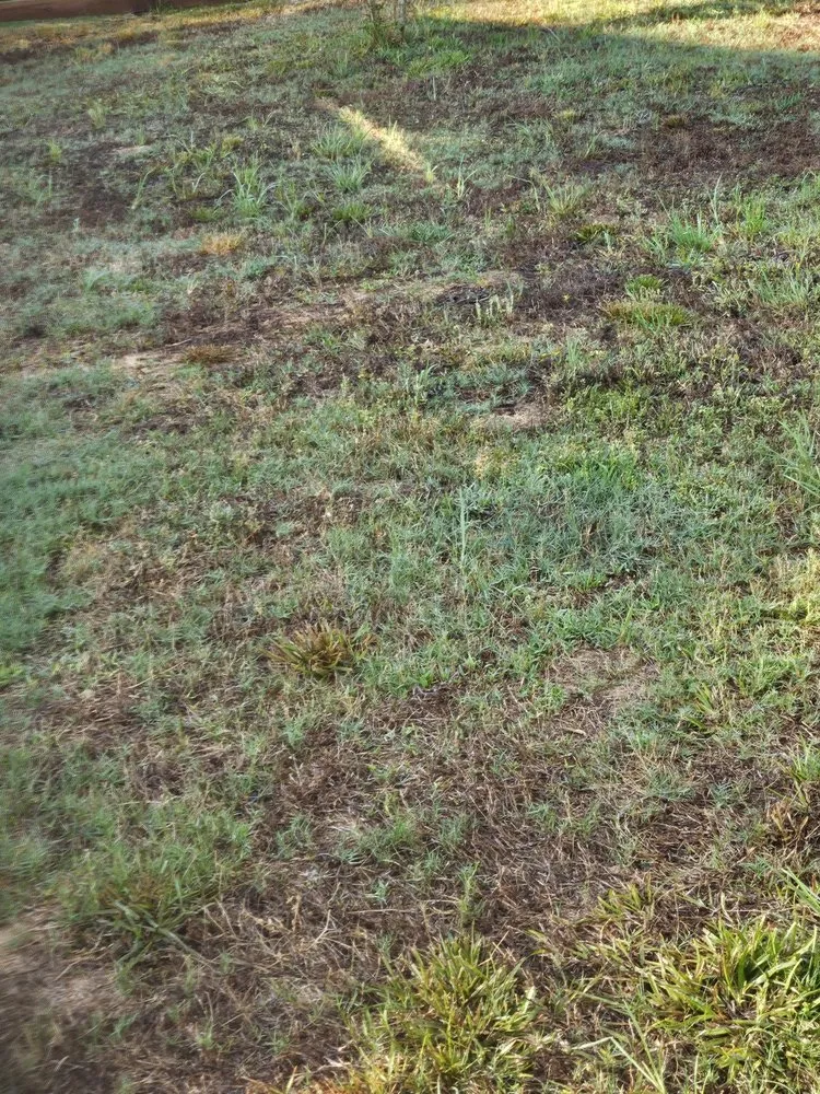 Affordable landscape design in Acworth, GA - TruGreen Lawn Care