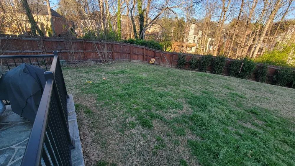 Custom lawn care service in Acworth, GA - TruGreen Lawn Care