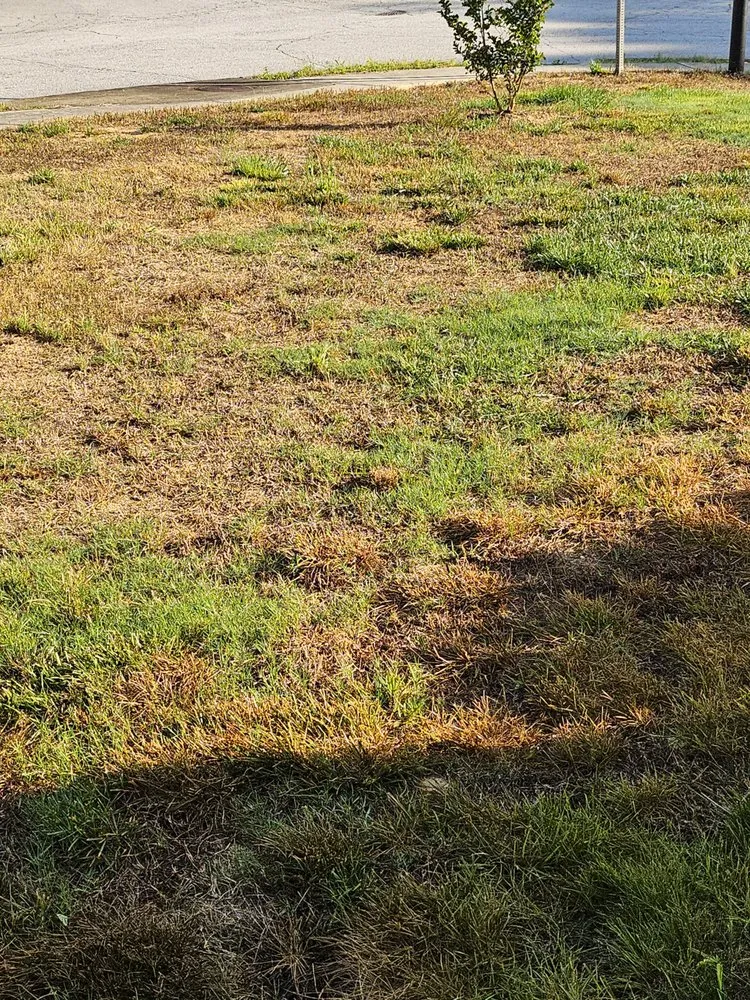 Local lawn care service with custom design across Acworth, GA - TruGreen Lawn Care