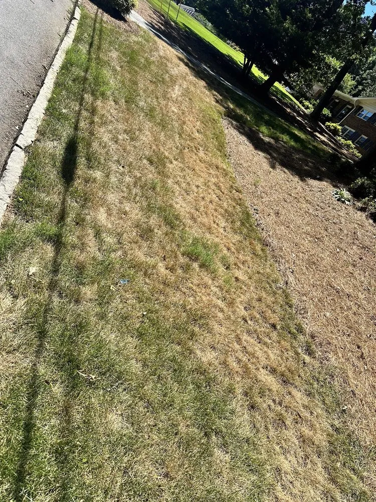 Trusted landscape design for beautiful yards across Acworth, GA - TruGreen Lawn Care