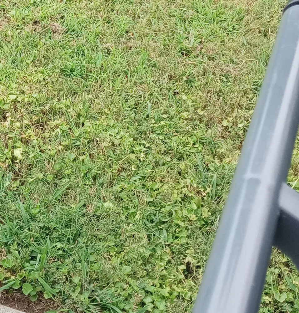 Top-rated landscape design for year-round maintenance in Acworth, GA by TruGreen Lawn Care