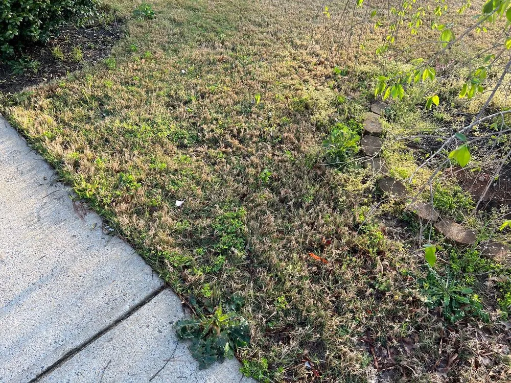 Custom landscape design in Acworth, GA by TruGreen Lawn Care