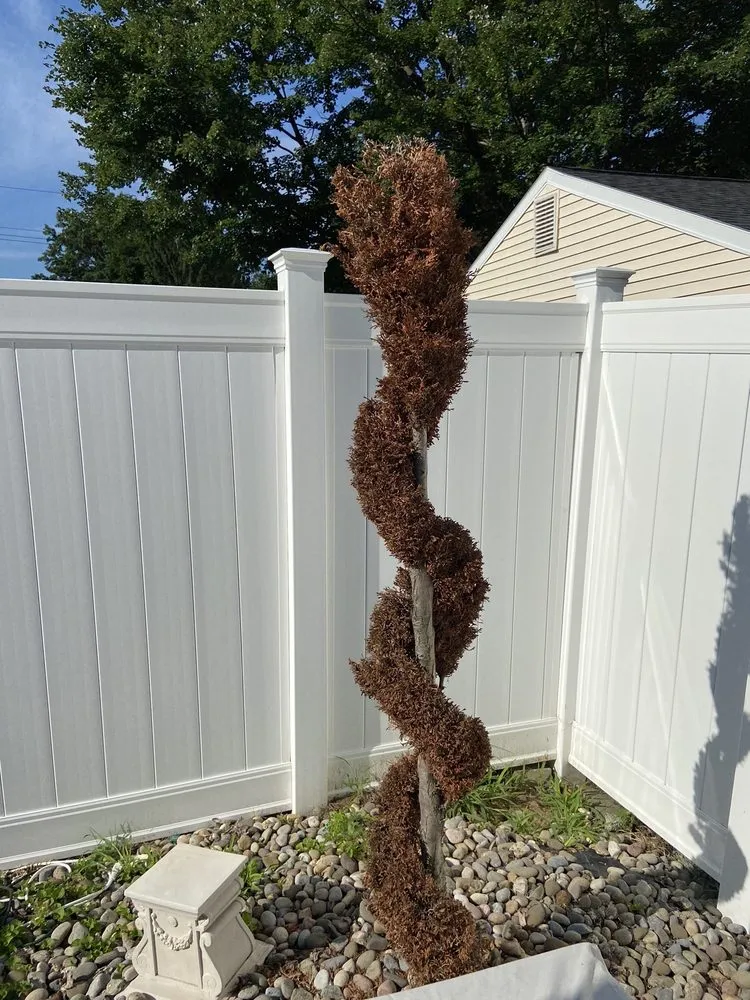 Professional yard maintenance in Albany, NY - TruGreen Lawn Care