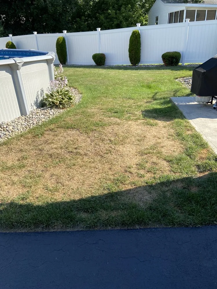 Custom landscape design in Albany, NY by TruGreen Lawn Care