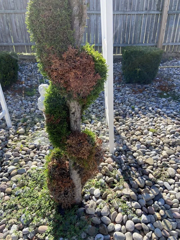 Trusted landscaping services with custom design across Albany, NY - TruGreen Lawn Care