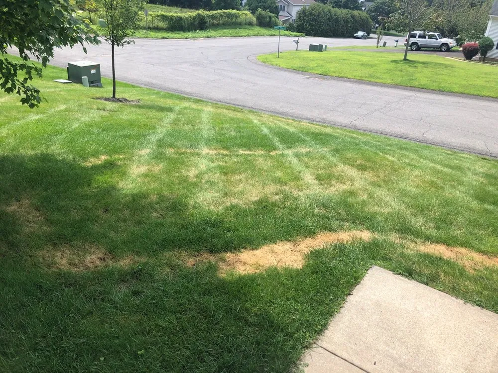 Trusted landscape design for outdoor upgrades across Albany, NY - TruGreen Lawn Care