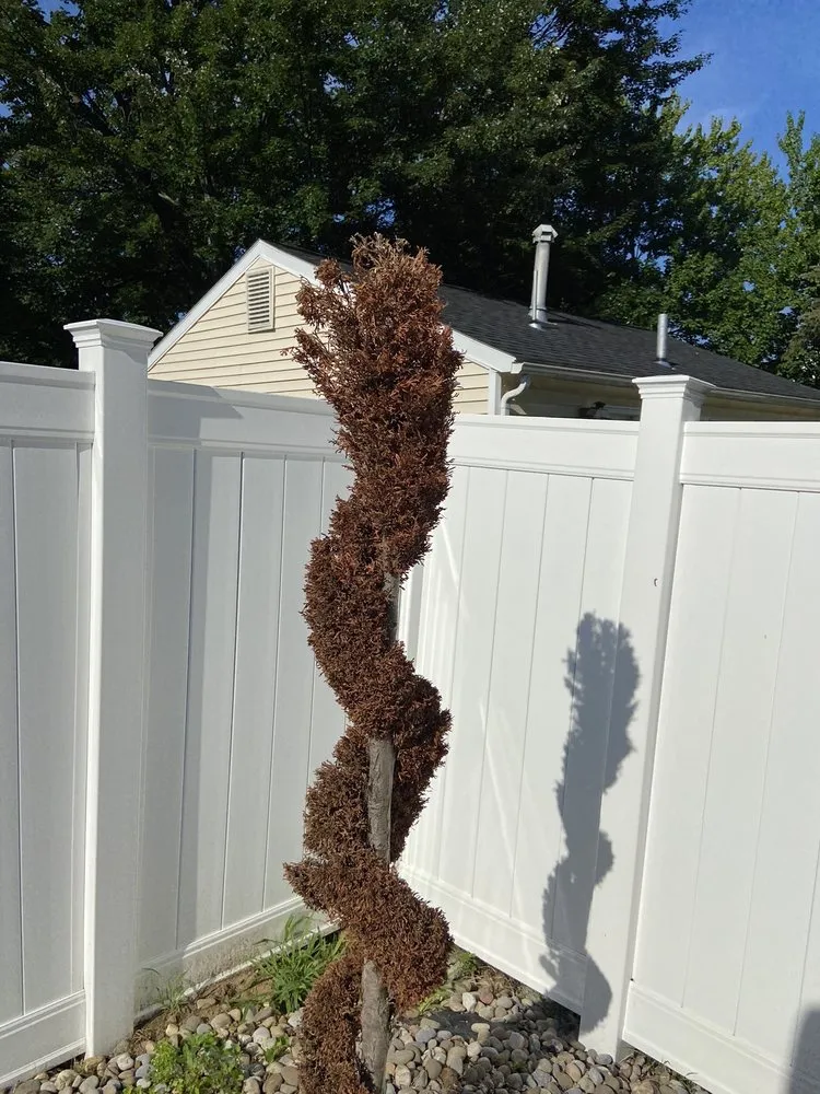 Reliable landscape design experts serving Albany, NY - TruGreen Lawn Care