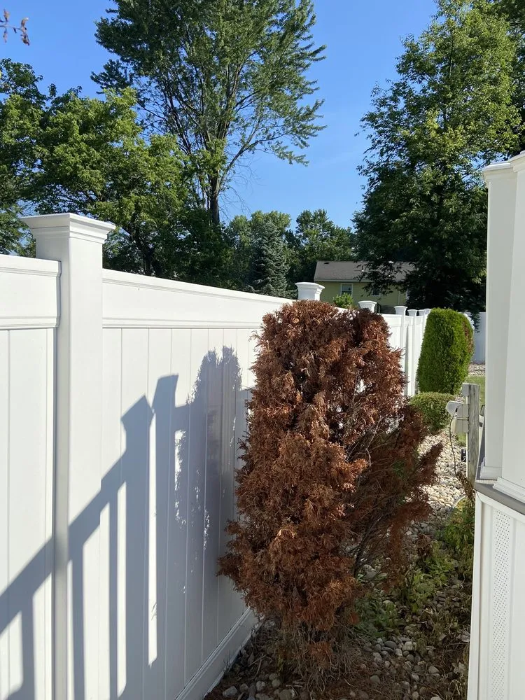 Top-rated landscaping services in Albany, NY by TruGreen Lawn Care