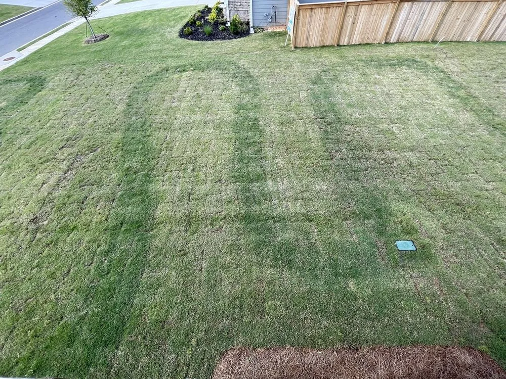 Trusted yard maintenance for homes in Austell, GA by TruGreen Lawn Care