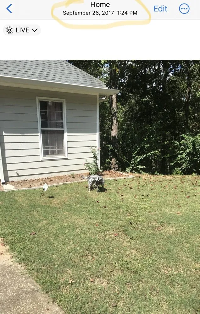 Expert yard cleanup service in Austell, GA by TruGreen Lawn Care