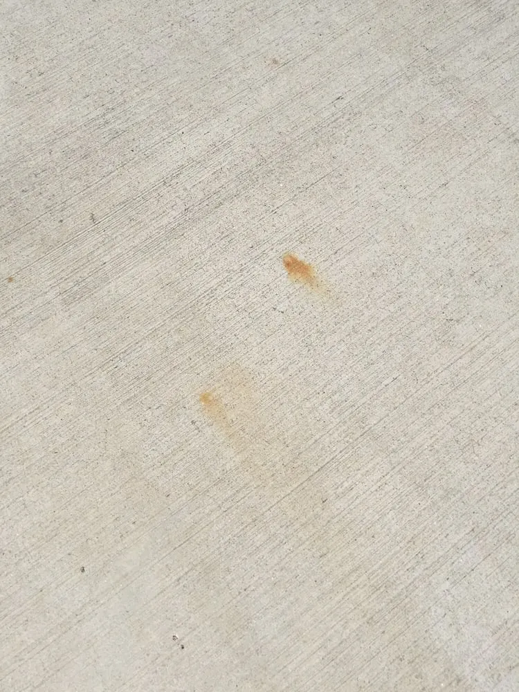 Custom yard maintenance in Austell, GA by TruGreen Lawn Care