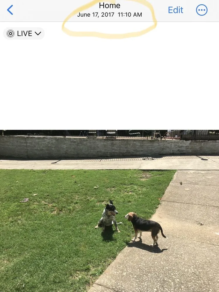 Reliable yard maintenance with custom design across Austell, GA - TruGreen Lawn Care