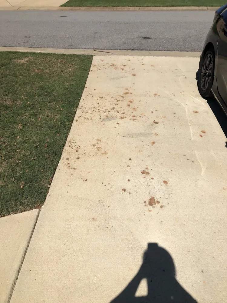 Affordable landscape installation in Birmingham, AL - TruGreen Lawn Care