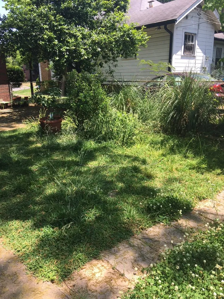 Custom landscape installation in Birmingham, AL by TruGreen Lawn Care