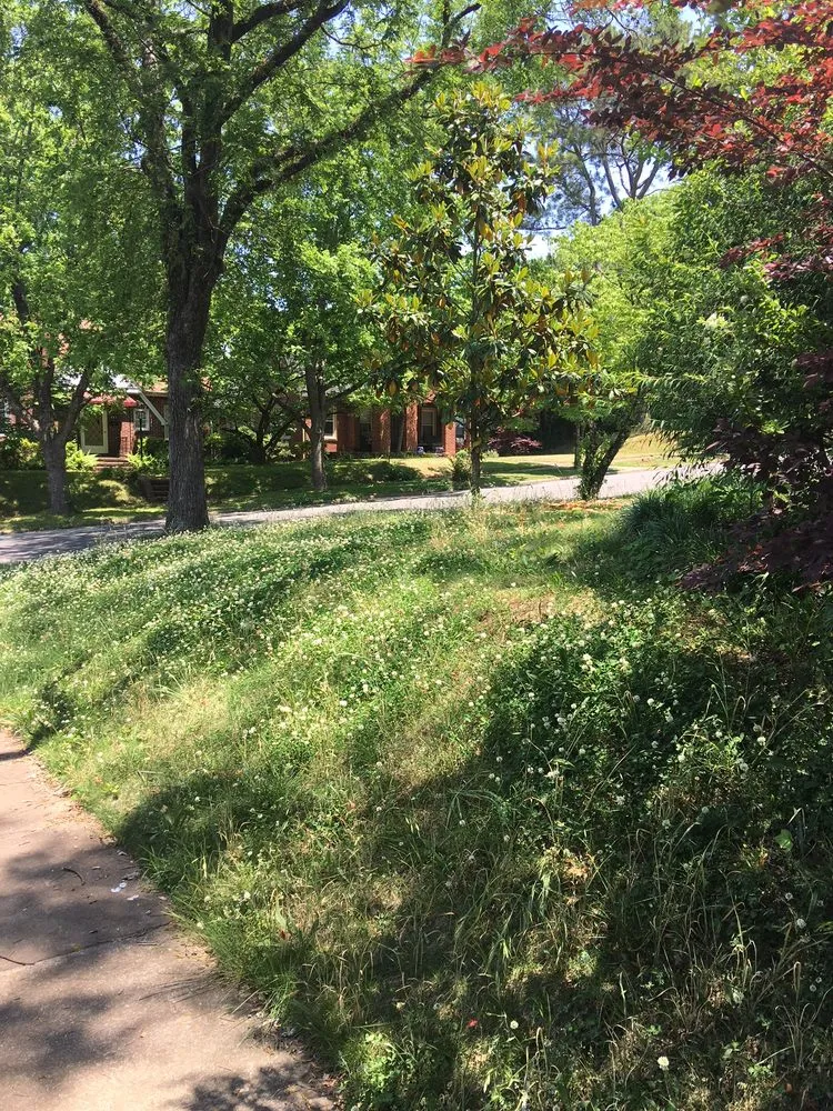 Affordable lawn mowing service in Birmingham, AL by TruGreen Lawn Care