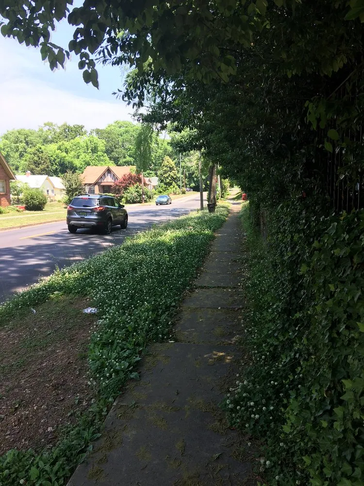 Custom garden landscaping experts serving Birmingham, AL - TruGreen Lawn Care