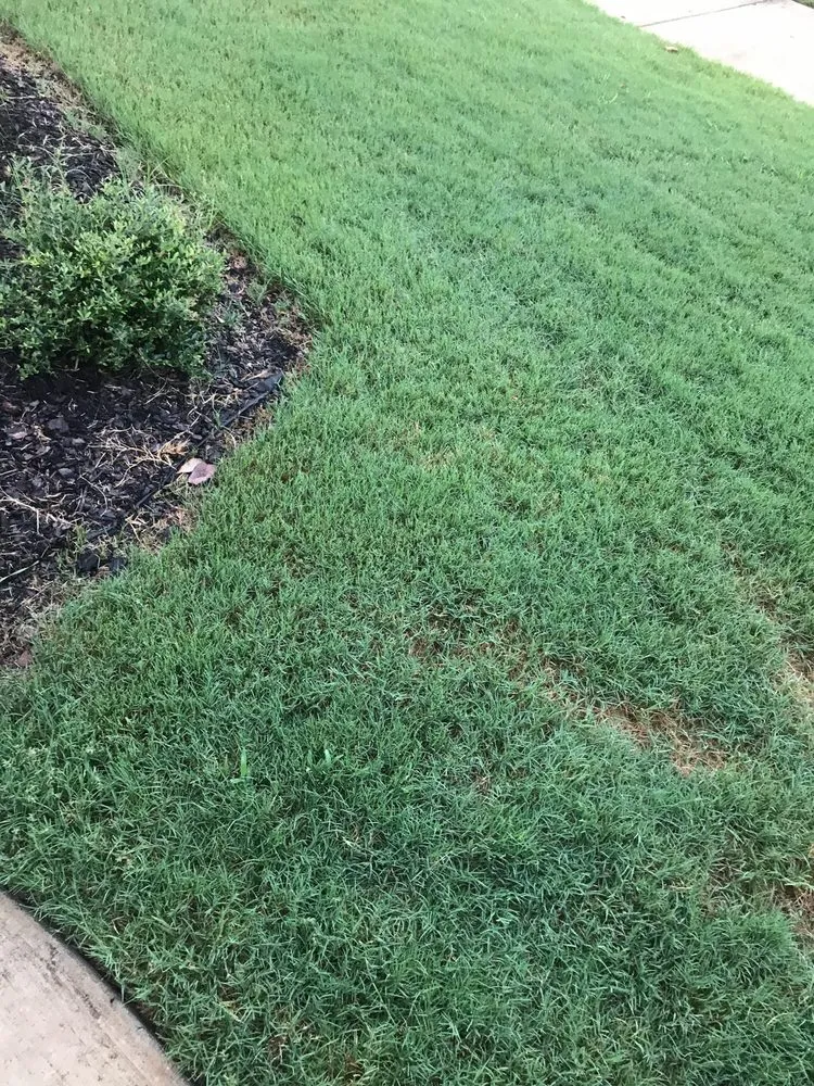 Expert lawn mowing service in Birmingham, AL - TruGreen Lawn Care
