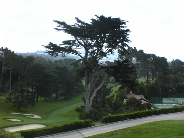 Top-rated landscape installation experts serving Burnsville, MN - TruGreen Lawn Care