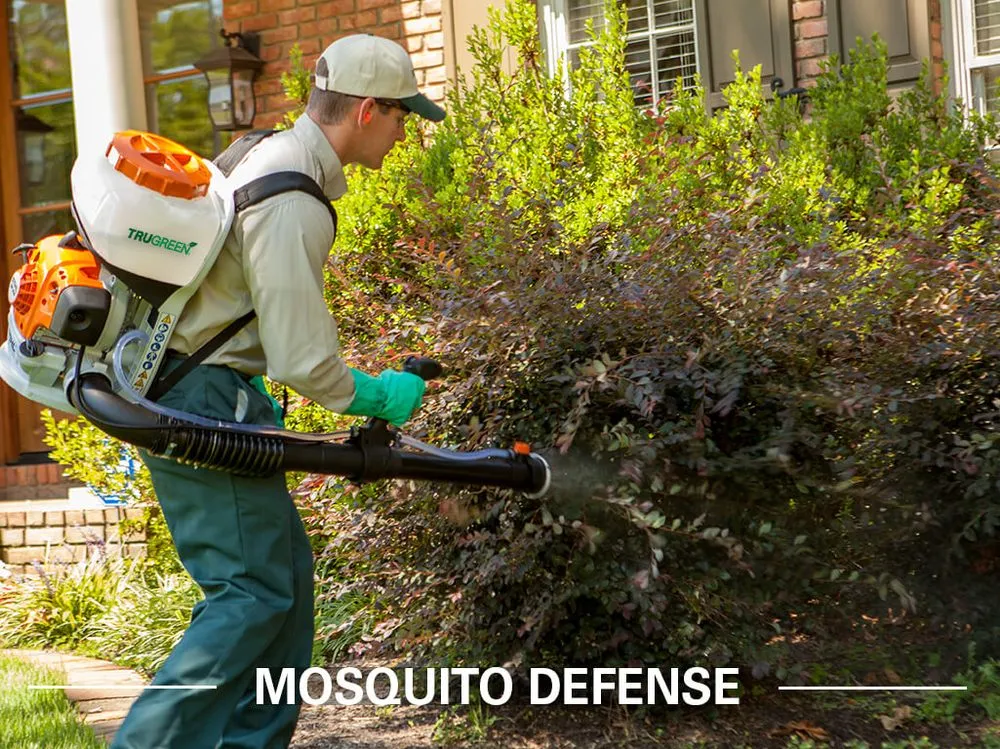 Affordable lawn mowing service in Castle Hayne, NC - TruGreen Lawn Care