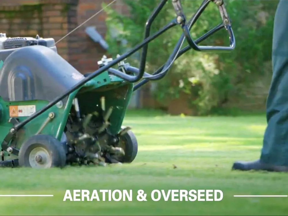 Trusted lawn mowing service for year-round maintenance across Cheyenne, WY - TruGreen Lawn Care