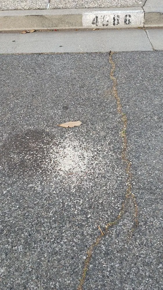 Professional lawn care service in Concord, CA - TruGreen Lawn Care