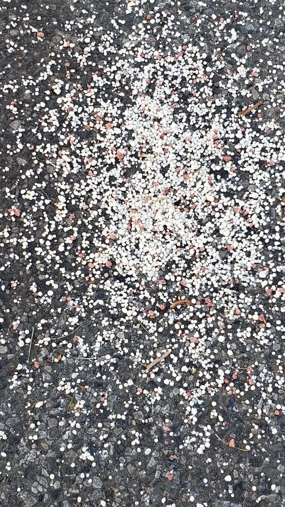 Local landscape design with custom design in Concord, CA by TruGreen Lawn Care