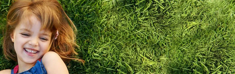 Professional lawn mowing service in Corpus Christi, TX by TruGreen Lawn Care