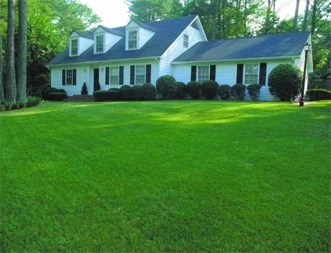 Professional landscaping services experts serving Corpus Christi, TX - TruGreen Lawn Care