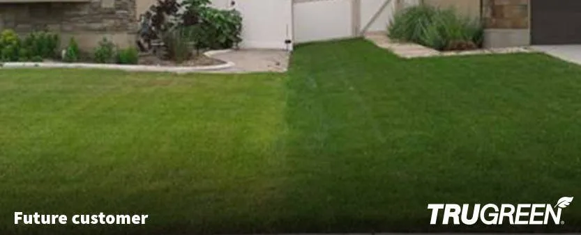 Professional landscaping services experts serving Corpus Christi, TX - TruGreen Lawn Care