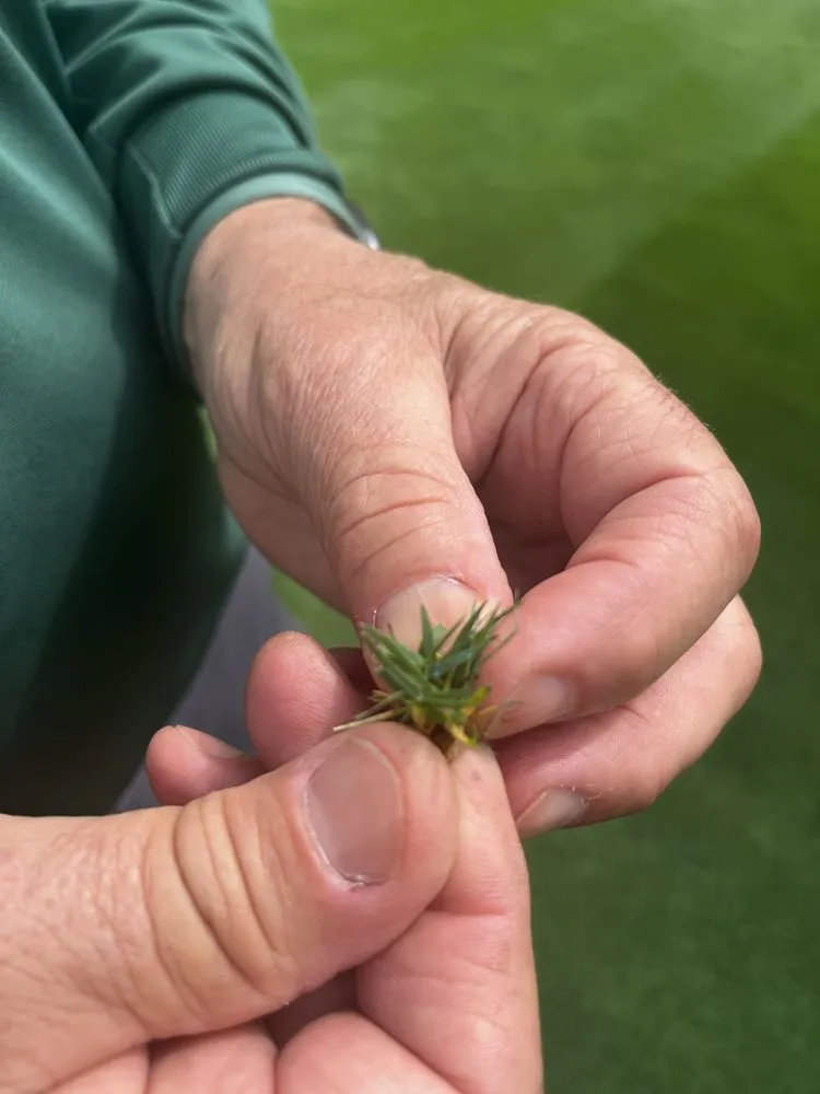 Expert lawn care service experts serving Crestwood, IL - TruGreen Lawn Care