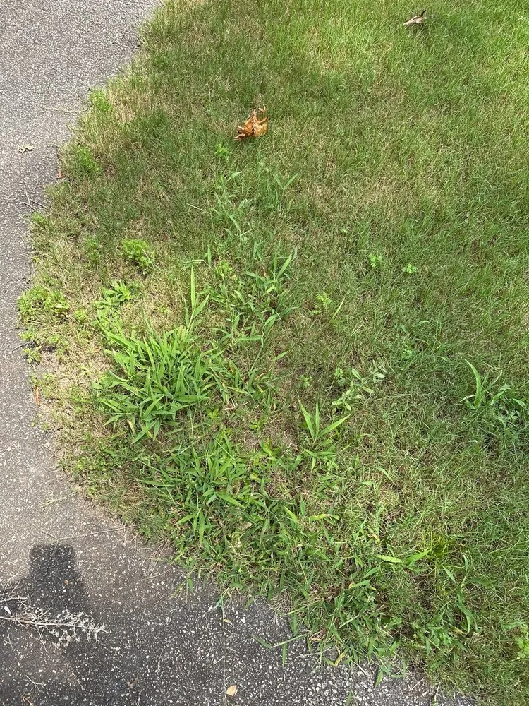 Local yard maintenance experts serving Cumming, GA - TruGreen Lawn Care