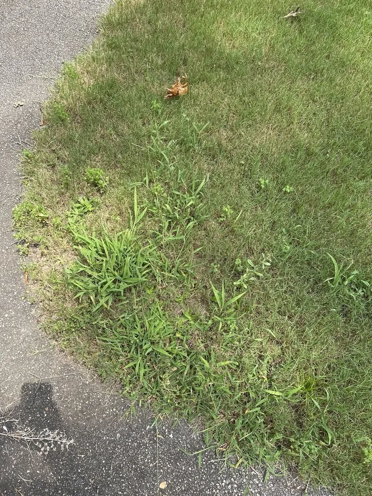 Local landscaping services in Cumming, GA by TruGreen Lawn Care