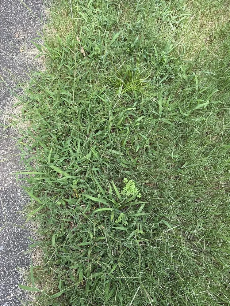 Expert outdoor landscaping for residential properties across Cumming, GA - TruGreen Lawn Care