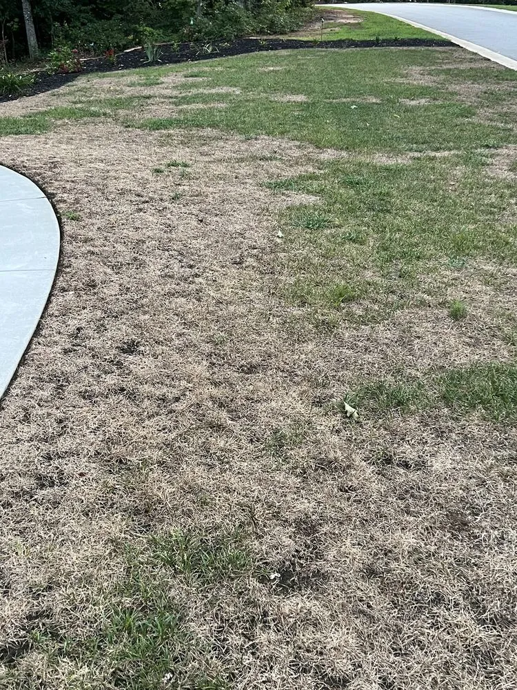 Affordable landscaping services experts serving Cumming, GA - TruGreen Lawn Care