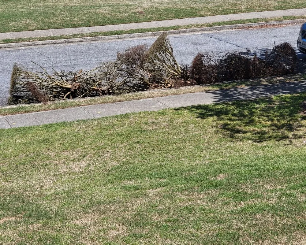 Local residential landscaping experts serving Cumming, GA - TruGreen Lawn Care