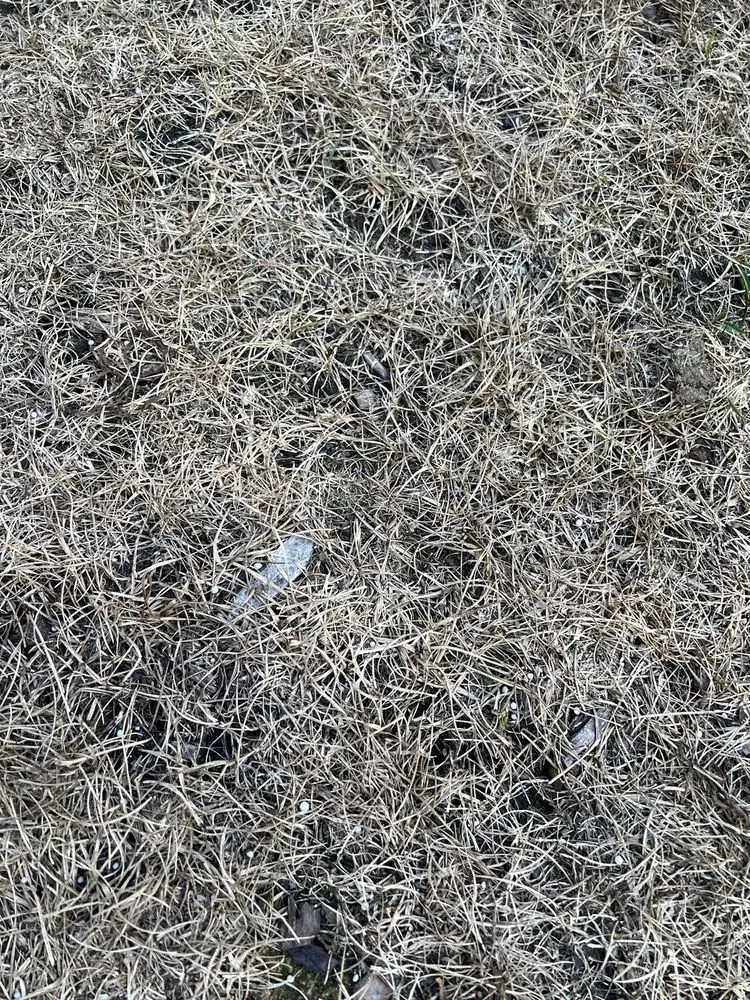 Affordable lawn care service experts serving Cumming, GA - TruGreen Lawn Care