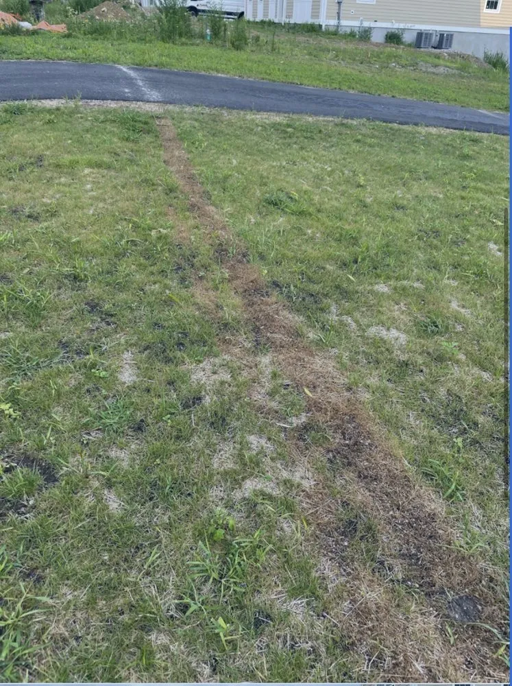 Affordable lawn mowing service in Danbury, CT - TruGreen Lawn Care