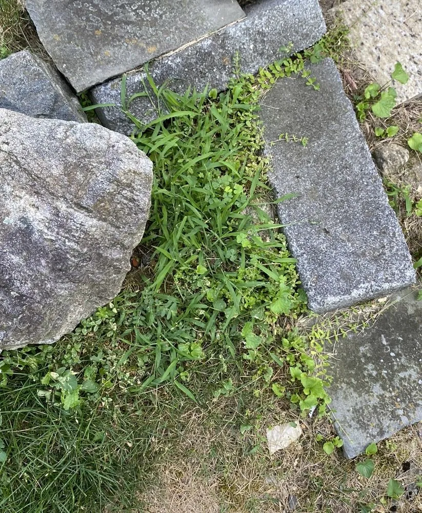 Expert garden landscaping experts serving Danbury, CT - TruGreen Lawn Care