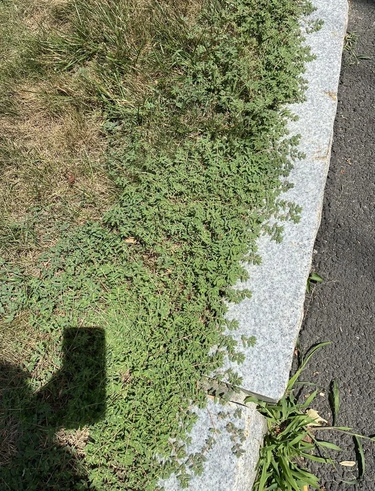 Local garden landscaping experts serving Danbury, CT - TruGreen Lawn Care