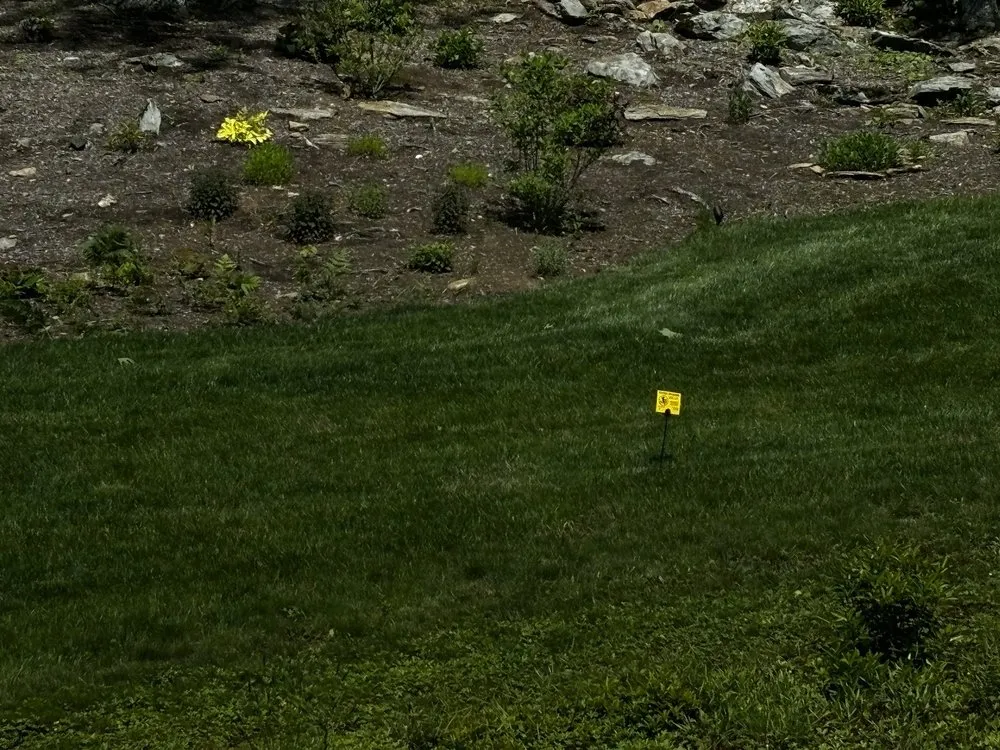 Top-rated garden landscaping with custom design across Danbury, CT - TruGreen Lawn Care